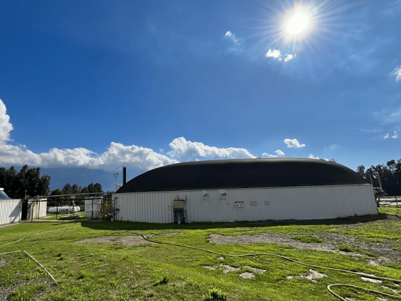 Quiénes Somos – Biogas Mostazal